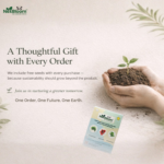 NexBloom Premium Face Tissues – 100 Pulls ( Pack Of 1/One ) - Image 11