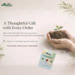 NexBloom Kitchen Rolls – Pack of 2 - Image 4