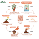 NexBloom Kitchen Rolls – Pack of 2 - Image 3